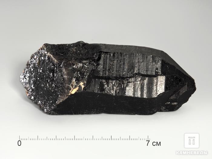 Морион, кристалл 13,4х5,2х5,1 см, 3172, фото 2