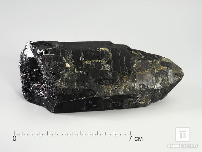 Морион, кристалл 10,4х4,5х3,9 см, 3173, фото 2