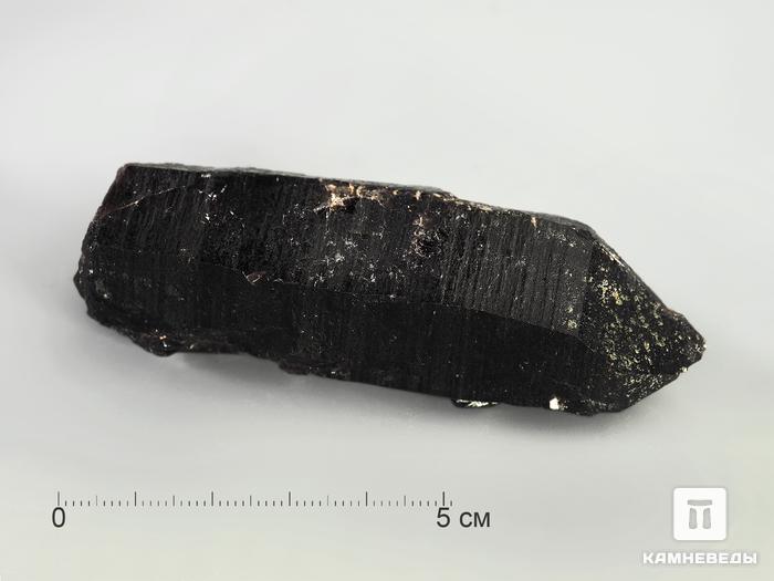 Морион, кристалл 8,1х2,7х2,3 см, 3166, фото 2