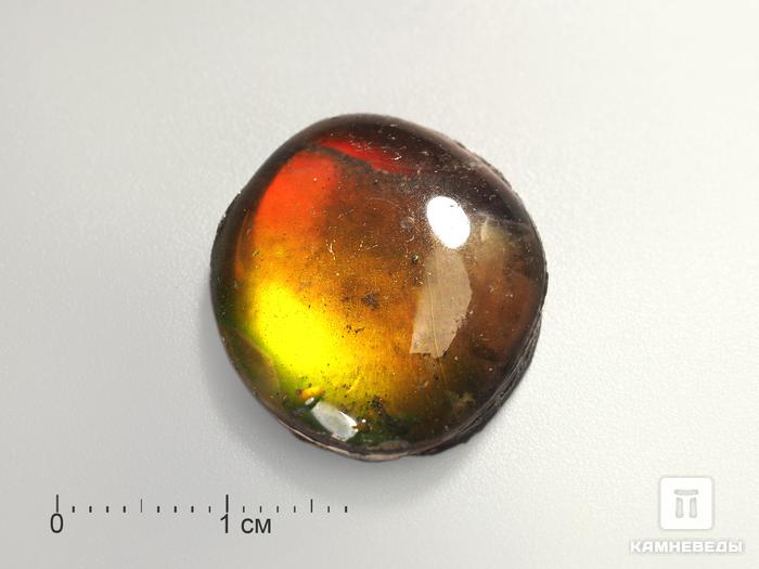 Аммолит (ископаемый перламутр аммонита) с горным хрусталём (кварцем), дублет, 3194, фото 2