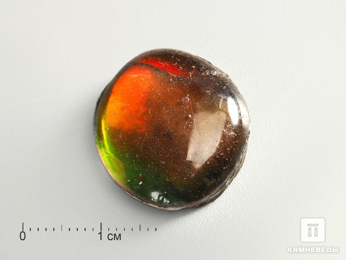 Аммолит (ископаемый перламутр аммонита) с горным хрусталём (кварцем), дублет, 3194, фото 1