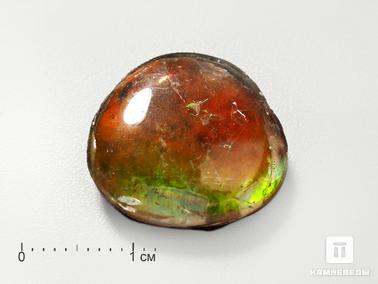 Горный хрусталь, Аммолит, Кварц. Аммолит (ископаемый перламутр аммонита) с горным хрусталём (кварцем), дублет