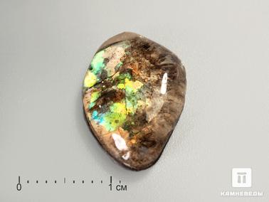 Горный хрусталь, Аммолит, Кварц. Аммолит (ископаемый перламутр аммонита) с горным хрусталём (кварцем), дублет