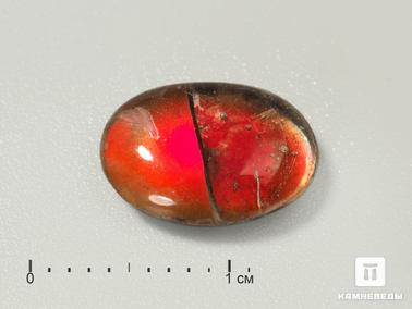Аммолит, Горный хрусталь, Кварц. Аммолит (ископаемый перламутр аммонита) с горным хрусталём (кварцем), дублет