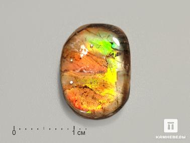 Аммолит, Горный хрусталь, Кварц. Аммолит (ископаемый перламутр аммонита) с горным хрусталём (кварцем), дублет