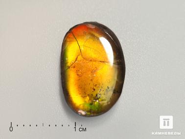 Аммолит, Горный хрусталь, Кварц. Аммолит (ископаемый перламутр аммонита) с горным хрусталём (кварцем), дублет