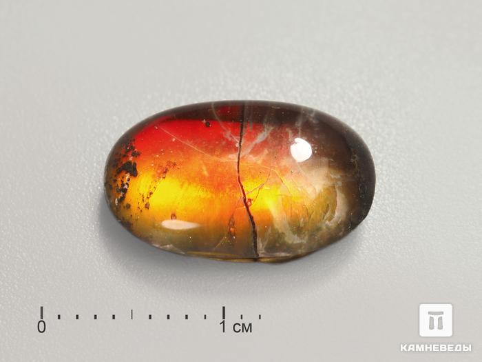 Аммолит (ископаемый перламутр аммонита) с горным хрусталём (кварцем), дублет, 3188, фото 1