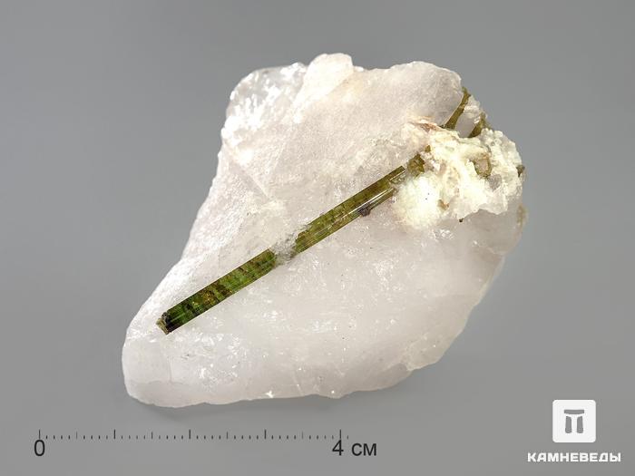 Кристаллы турмалина (верделита) в кварце, 5-10 см, 3183, фото 4