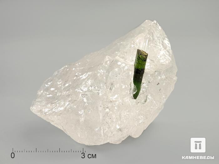 Кристаллы турмалина (верделита) в кварце, 5-10 см, 3183, фото 6