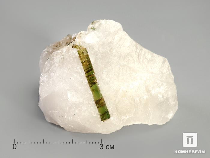 Кристаллы турмалина (верделита) в кварце, 3,5-5,5 см, 3181, фото 1