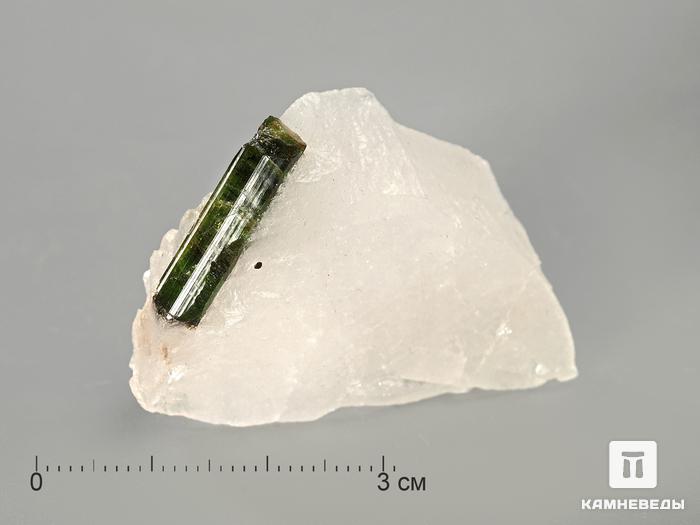 Кристаллы турмалина (верделита) в кварце, 4,5-6,5 см, 3182, фото 2