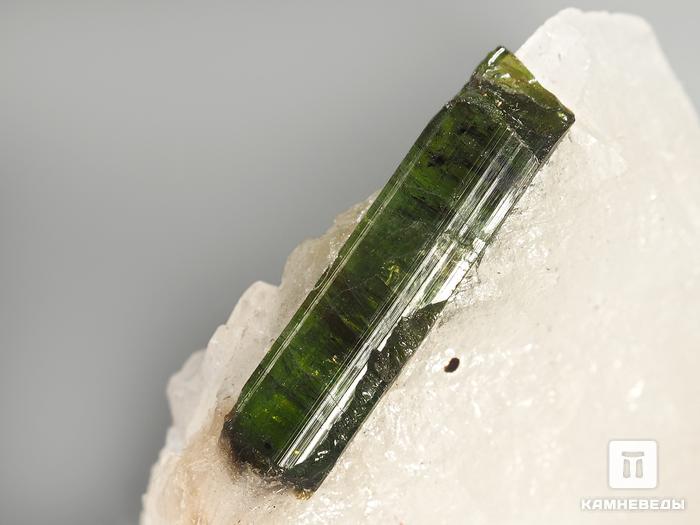 Кристаллы турмалина (верделита) в кварце, 4,5-6,5 см, 3182, фото 3