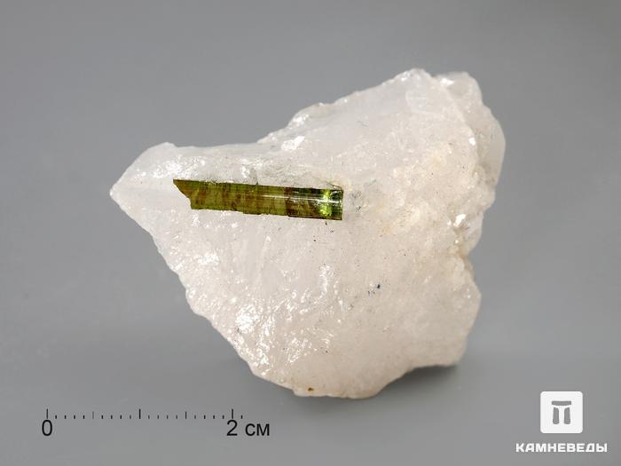 Кристаллы турмалина (верделита) в кварце, 4,5-6,5 см, 3182, фото 1