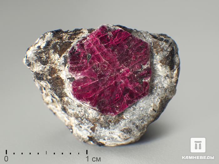 Кристаллы корунда красного в кристаллическом сланце, 2х1,6х1,1 см, 3259, фото 1
