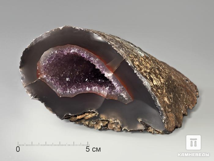 Жеода агата с кристаллами аметиста, 12х11х6,6 см, 3299, фото 1