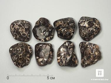 Агат. Агат черепаховый, крупная галтовка 3-3,5 см (15-20 г)