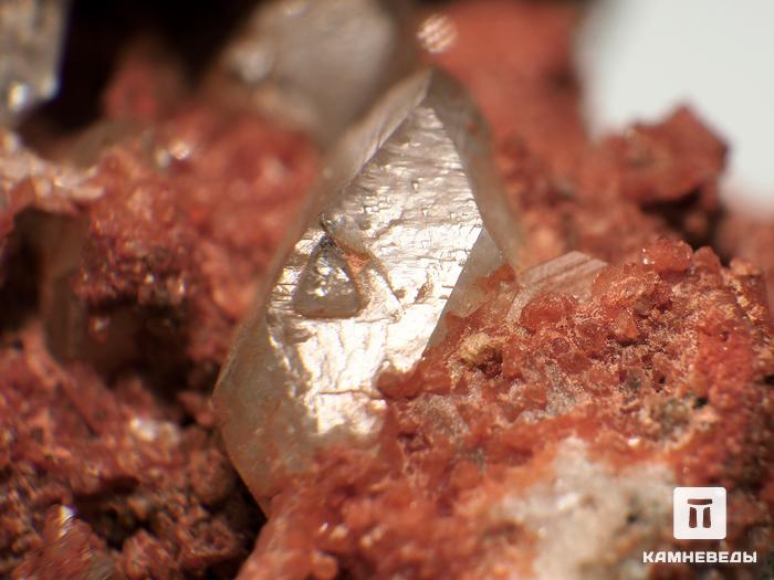Топаз, кристаллы в породе 9,8х7х5,6 см, 10-30/18, фото 3
