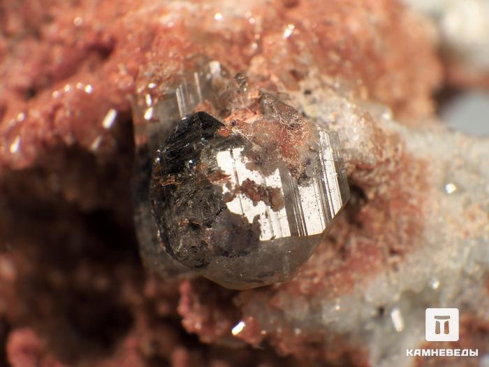 Топаз, кристаллы в породе 8,5х5,3х5 см, 10-30/19, фото 4