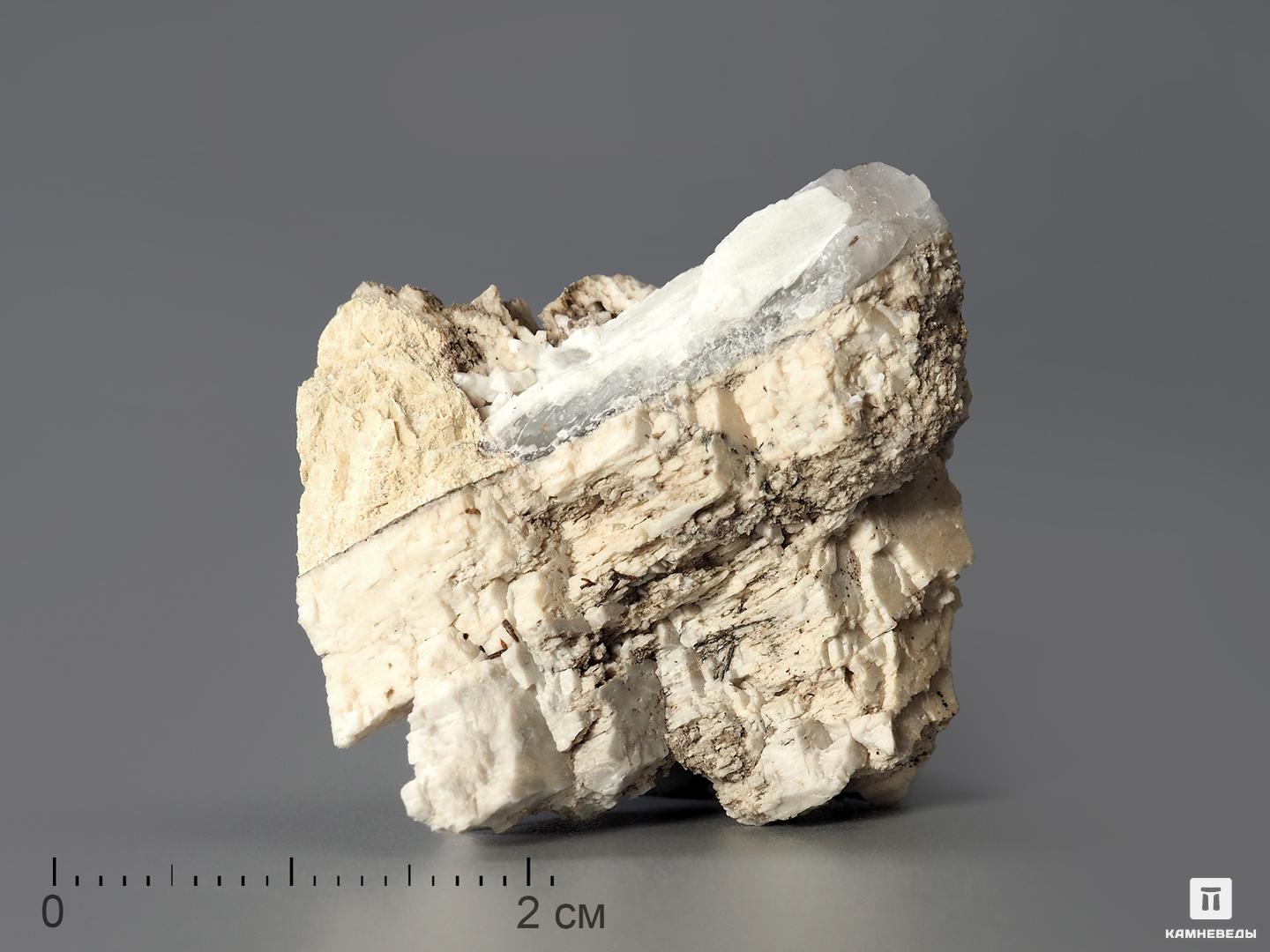 Анкилит-(Ce) в пластиковом боксе, 2-3 см