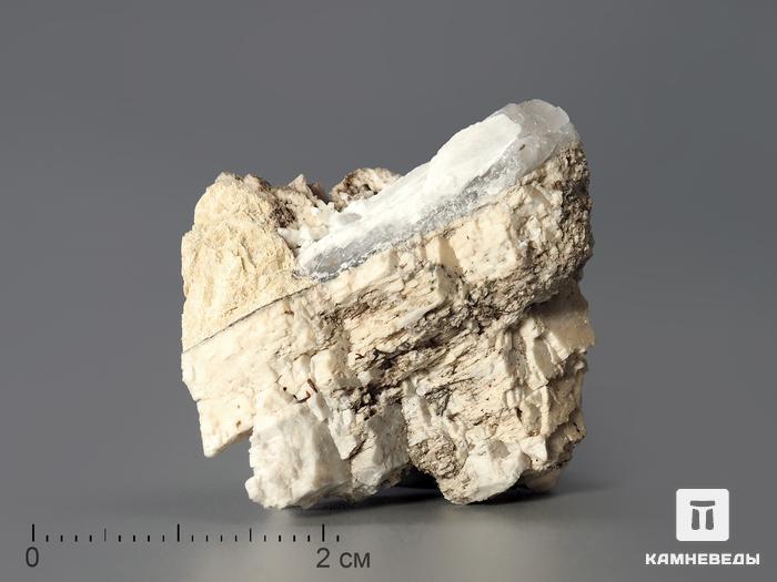 Анкилит-(Ce) в пластиковом боксе, 2-3 см, 3347, фото 1