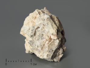 Анкилит-(Ce) в пластиковом боксе, 1,5-2,5 см