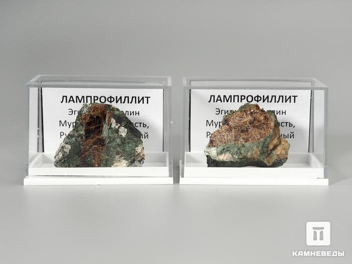 Лампрофиллит в пластиковом боксе, 3,5-4 см, 3377, фото 2