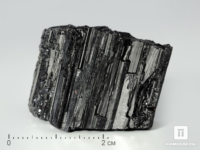 Шерл (турмалин), кристалл 2,5-3 см, 3438, фото 1
