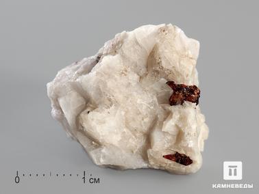 Манганнептунит (манганонептунит). Манганнептунит в пластиковом боксе, 2,5-3,5 см