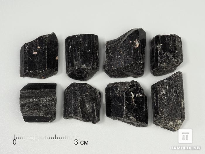 Шерл (чёрный турмалин), кристалл 2-2,5 см, 10-24/21, фото 1
