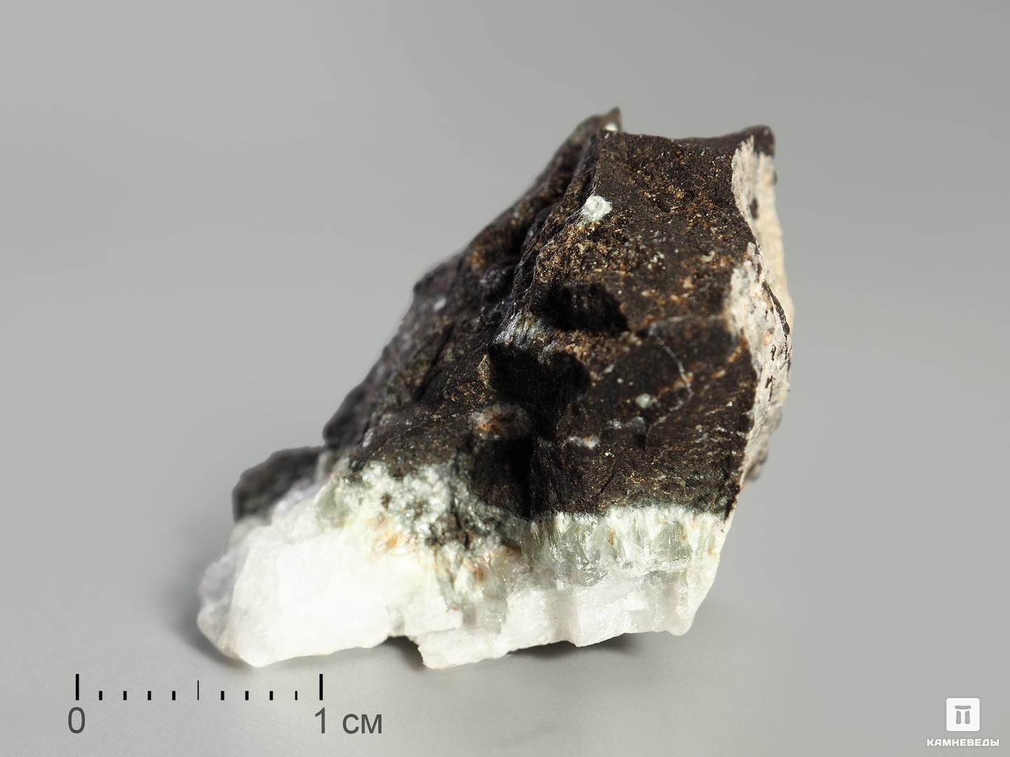 Гиролит в пластиковом боксе, 2-3 см стразы кристаллы белые микс размеров