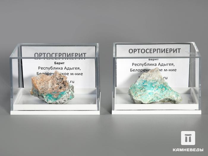 Ортосерпиерит в пластиковом боксе, 3-4,5 см, 3494, фото 2