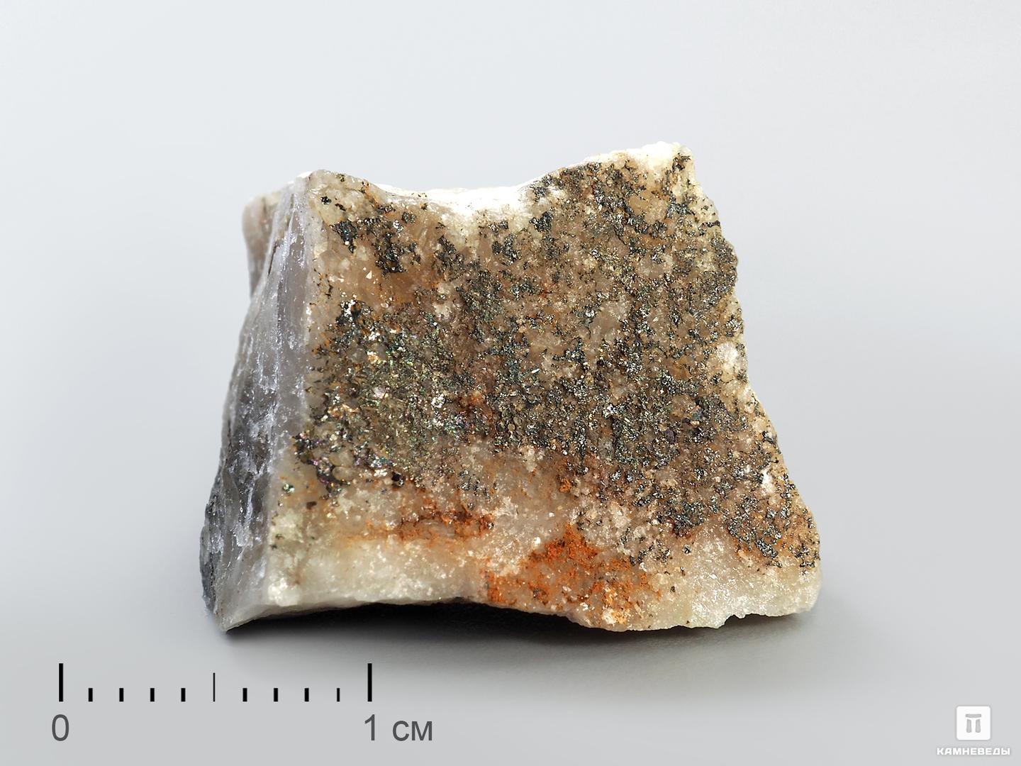 Тетраэдрит в пластиковом боксе, 2-3 см прожилки прозы