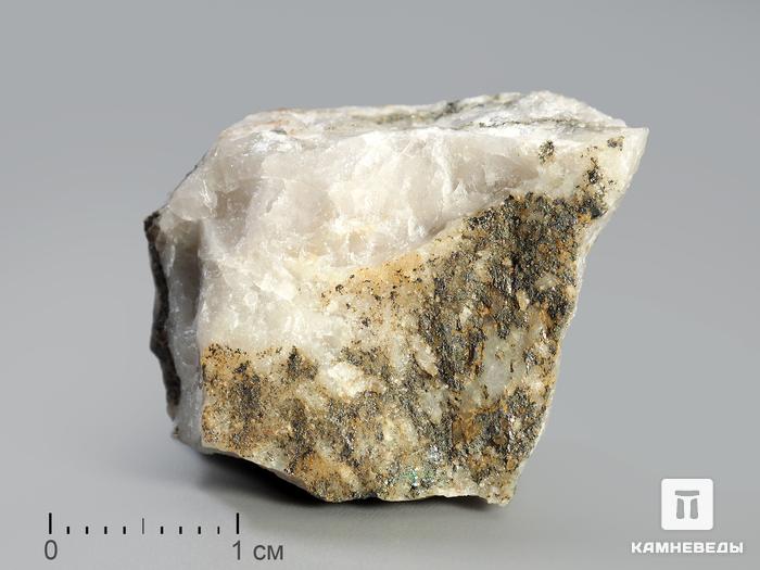 Тетраэдрит в пластиковом боксе, 2,5-3 см, 3443, фото 1