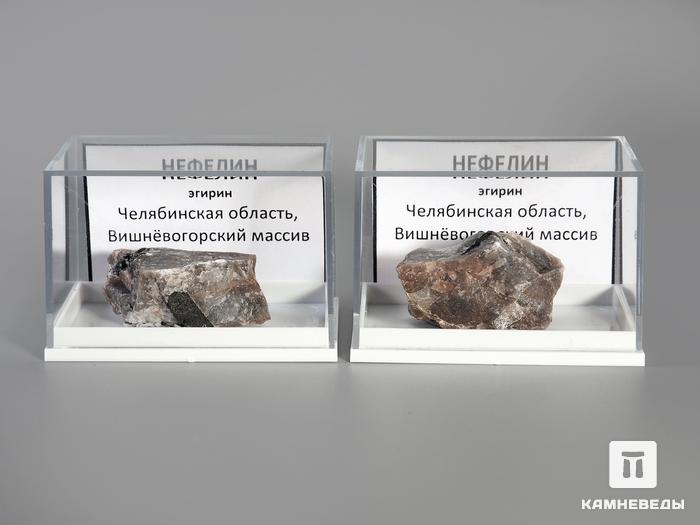 Нефелин с эгирином в пластиковом боксе, 3-3,5 см, 3539, фото 2