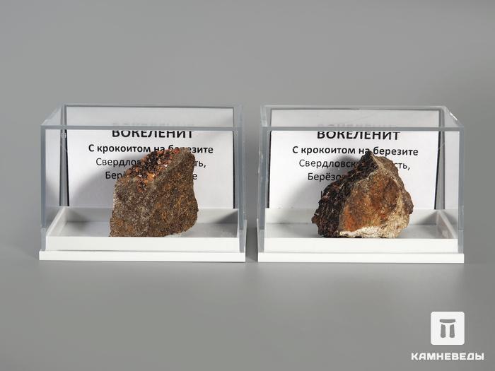 Вокеленит с крокоитом на березите в пластиковом боксе, 2,5-3,5 см, 3553, фото 2