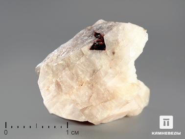 Манганнептунит (манганонептунит). Манганнептунит в пластиковом боксе, 2,5-3 см
