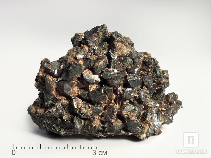Авгит с гематитом, 5,9х4,5х3,4 см, 3704, фото 2