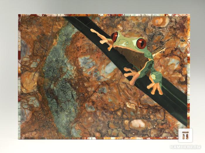 Шкатулка из натуральных камней «Древесная лягушка» в деревянном ларце, 3785, фото 5