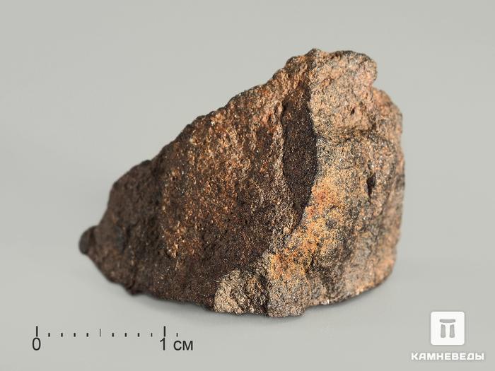 Метеорит Харабали, 2-3 см (7,5-9,5 г), 10-16, фото 2