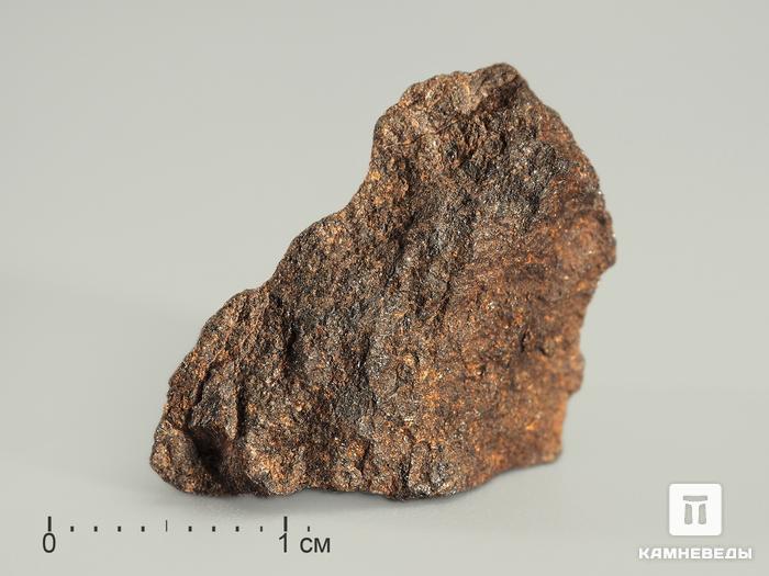 Метеорит Харабали, 1,5-2,5 см (1-3 г), 3992, фото 3