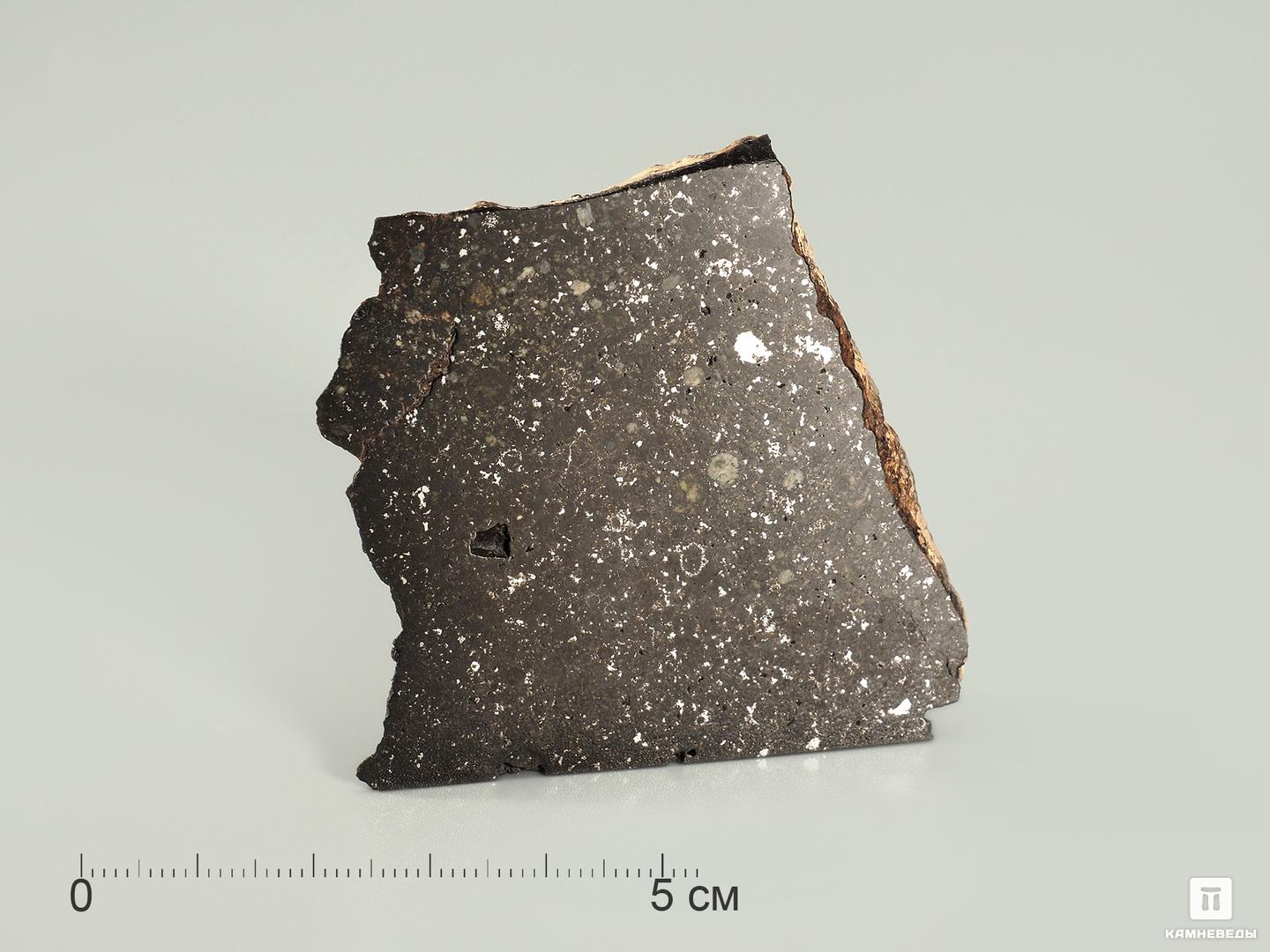 Метеорит Царев, 5,5х5,3х1,5 см метеорит царев 4 5х3 5х2 6 см