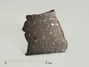 Метеорит Царев, 5,5х5,3х1,5 см
