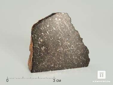 Метеориты. Метеорит Царев, 4,7х4,6х1,8 см