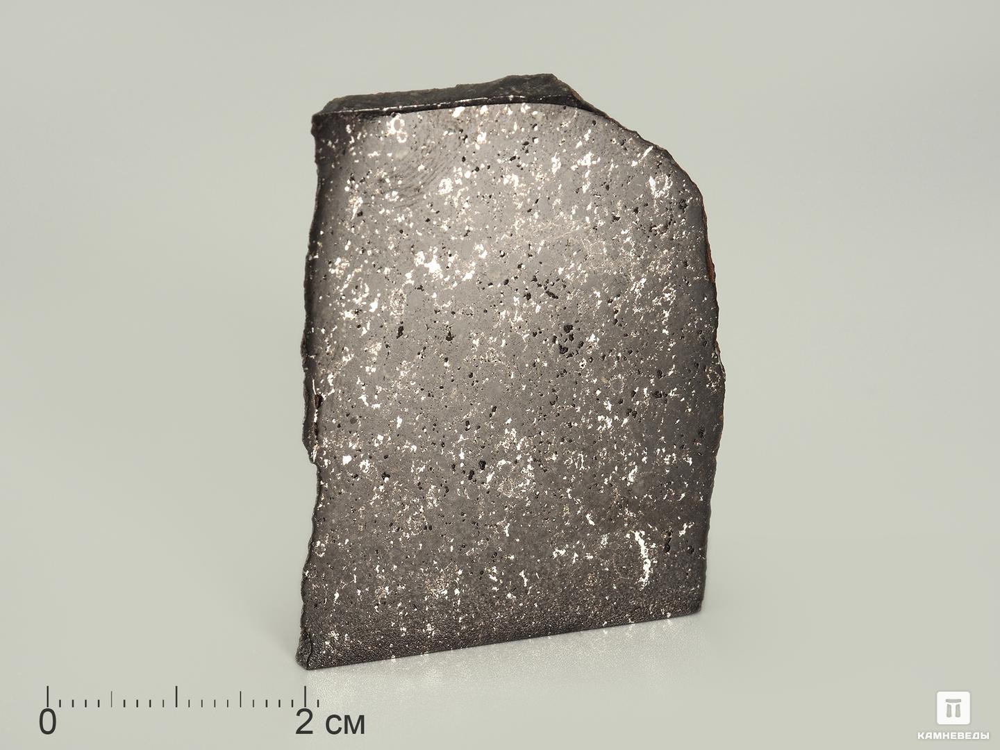Метеорит Царев, 4,5х3,5х2,6 см десятое декабря 18 сондерс