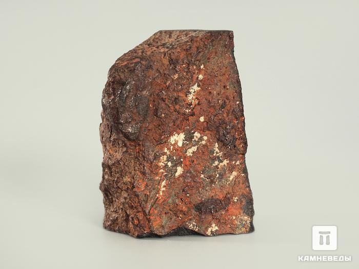 Метеорит Царев, 4,5х3,5х2,6 см, 3999, фото 2