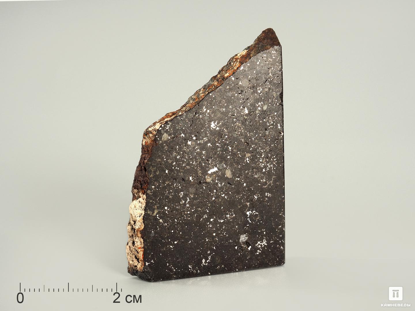 Метеорит Царев, 5,3х3,5х0,8 см десятое декабря 18 сондерс