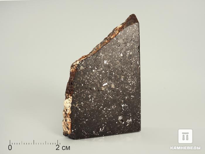 Метеорит Царев, 5,3х3,5х0,8 см, 4000, фото 1