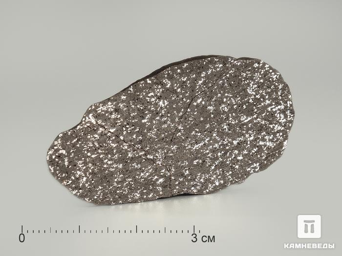 Метеорит NWA 12923, пластина 4,5х2,3х0,2 см, 3995, фото 2