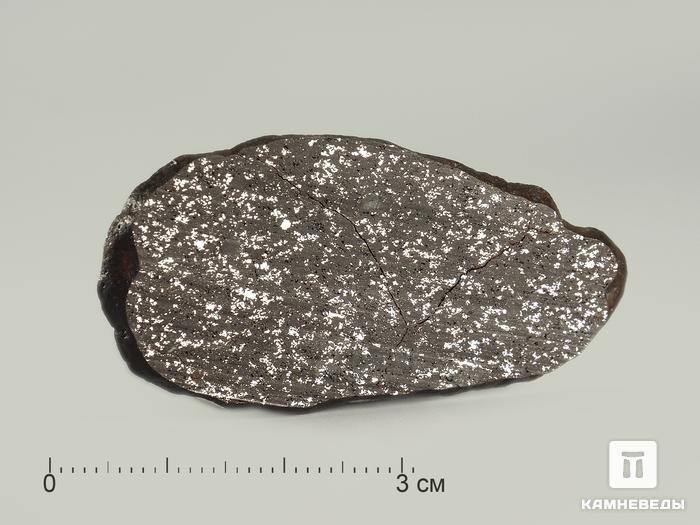 Метеорит NWA 12923, пластина 4,5х2,3х0,2 см, 3995, фото 1