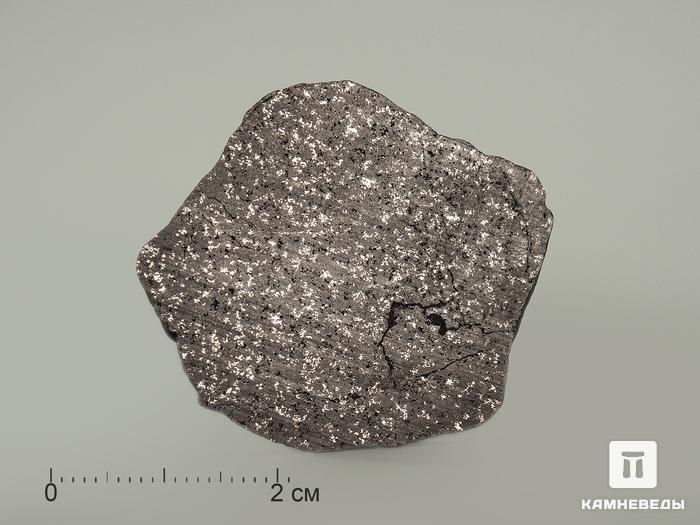 Метеорит NWA 12923, пластина 3,7х3,2х0,2 см, 3994, фото 2